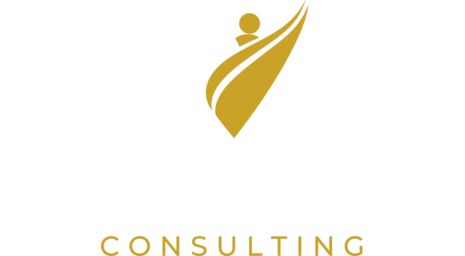 Visions HR Consulting